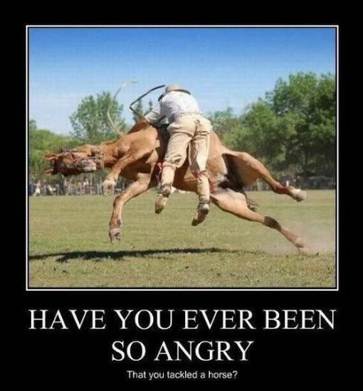angermanagement photo angermanagement.jpg