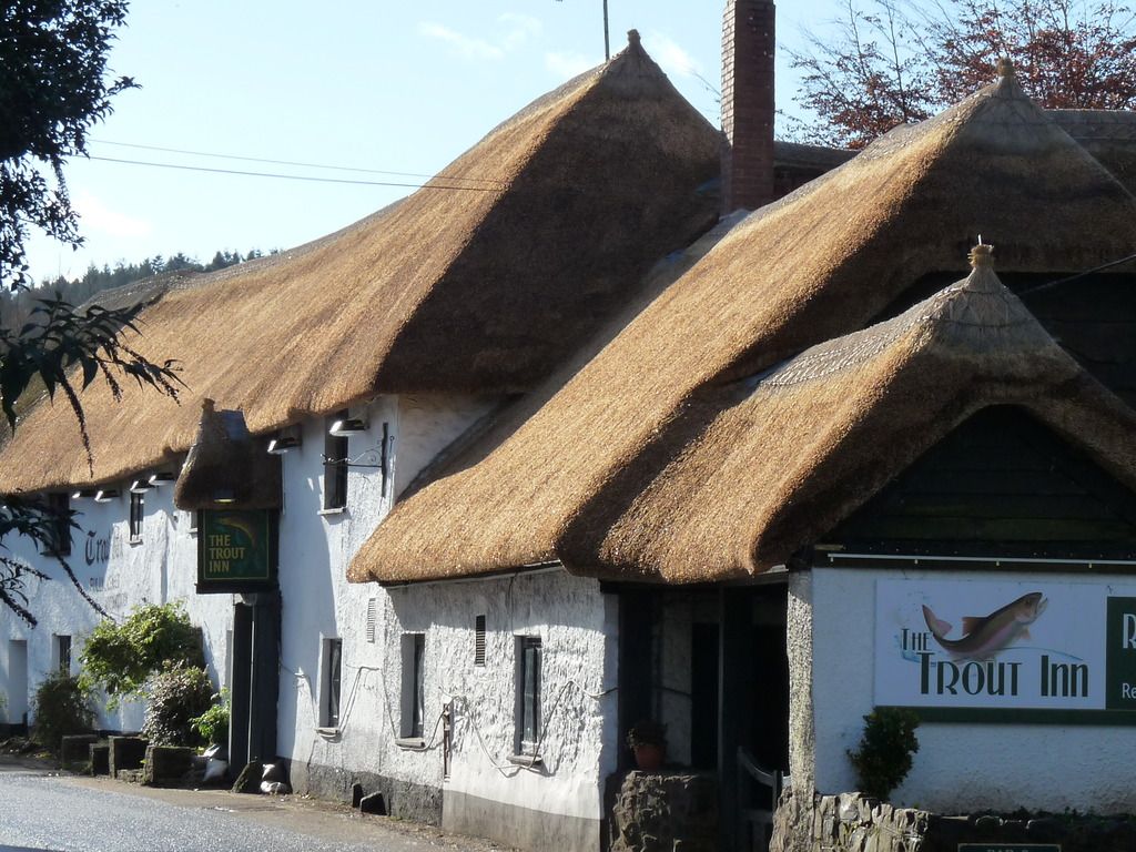 The Trout, Bickleigh photo P1130623_zpsrr9ddpha.jpg
