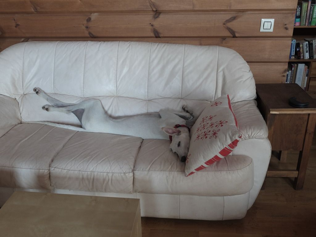 the comfort of the sfa photo S0015227_zpsj6ofabi7.jpg