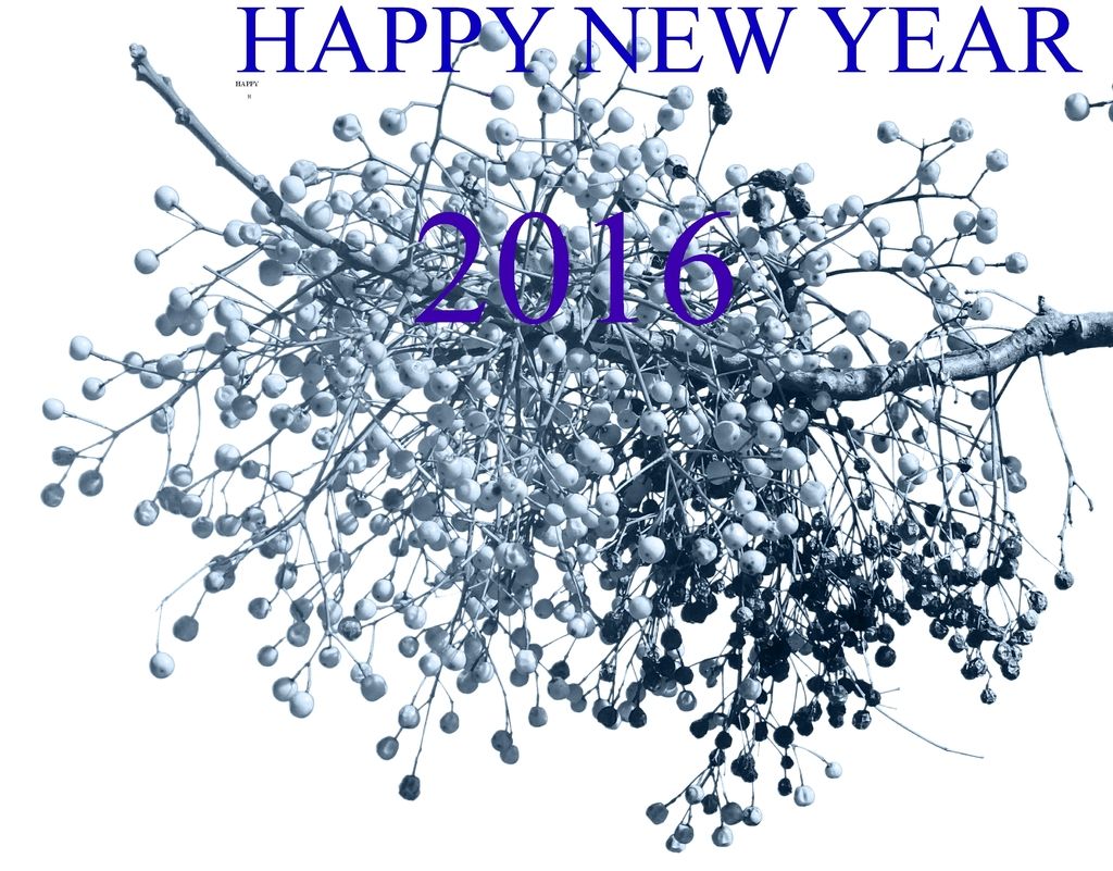  photo happy new year_zps3aephhe7.jpg