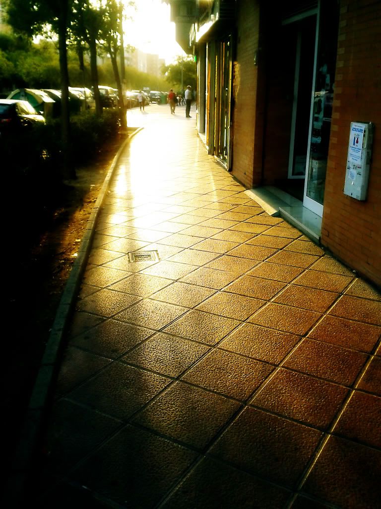 Imagen Enviada