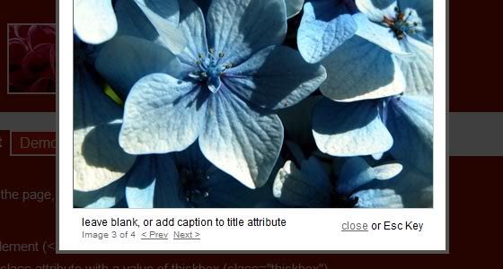 12 jQuery lightbox plugin nên dùng