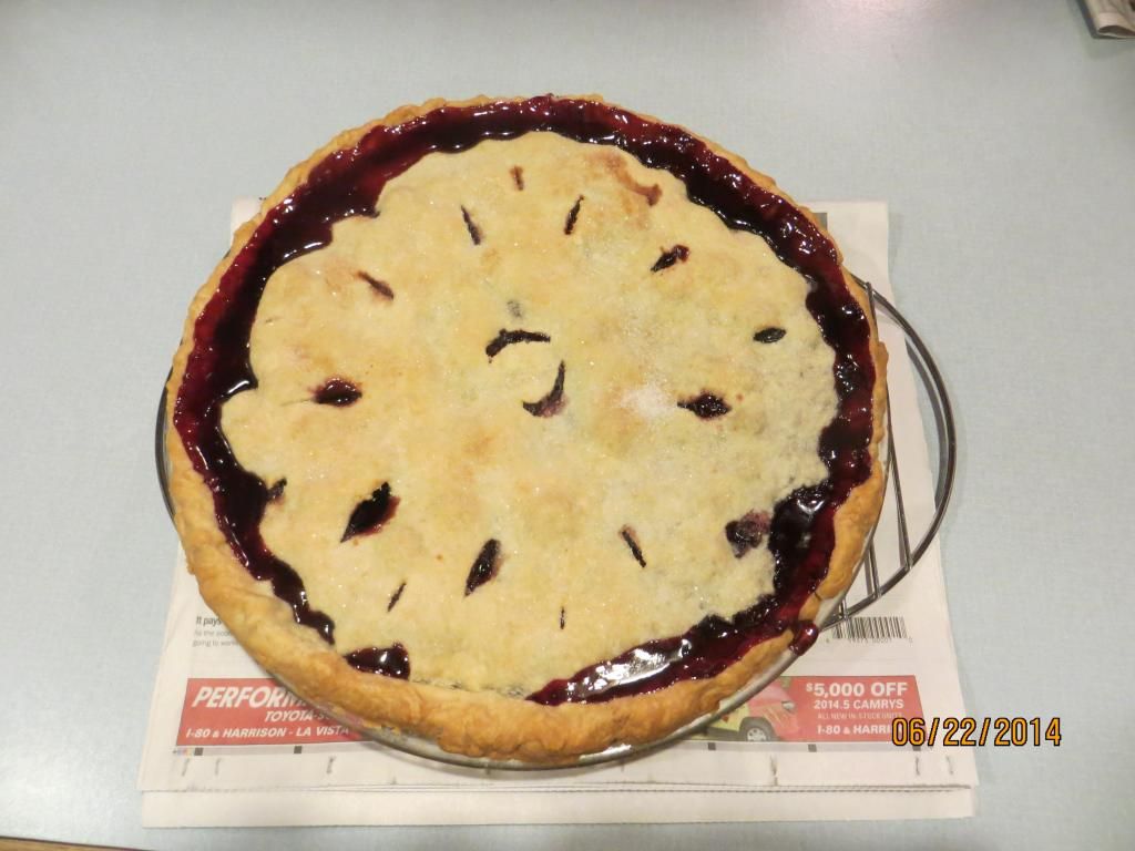 Carmine Jewel Cherry Pie photo IMG_2866.jpg