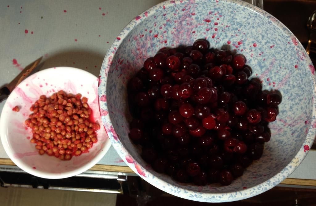 Carmine Jewel Pitted photo photo44.jpg