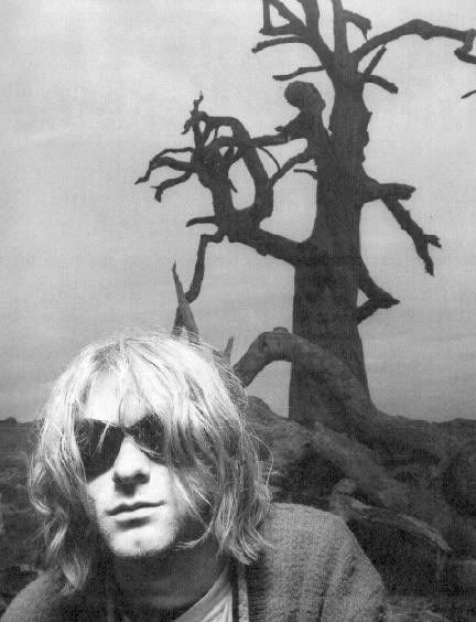 dave dave