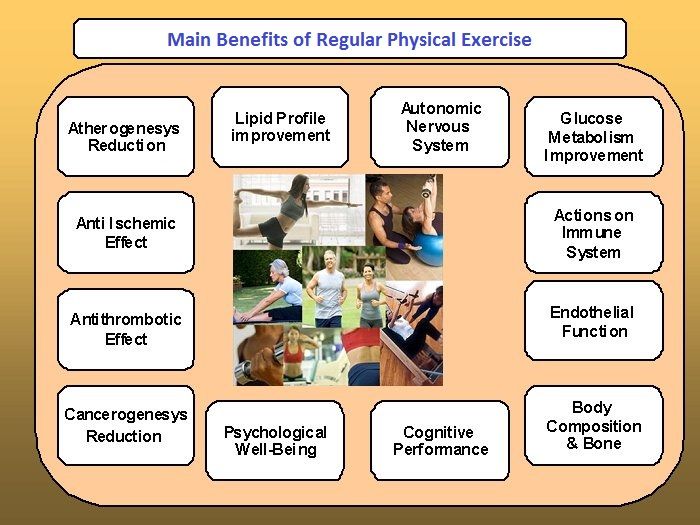 essay about benefits of exercise essay about benefits of exercise