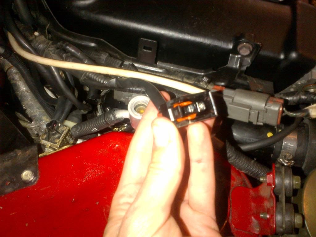 photo 010-1_zps504defe2.jpg