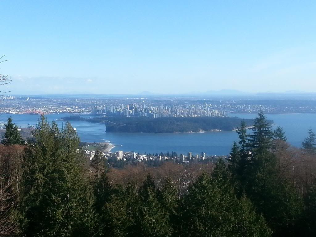  photo 20140317_171729_zpsq1cvr7wf.jpg