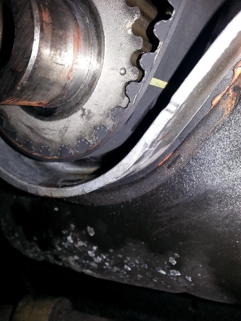  photo 20140427_144729_zps42hjilyb.jpg