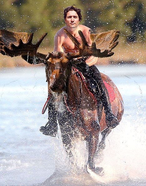  photo trudeau-on-moose1_zps736s3dfs.jpg