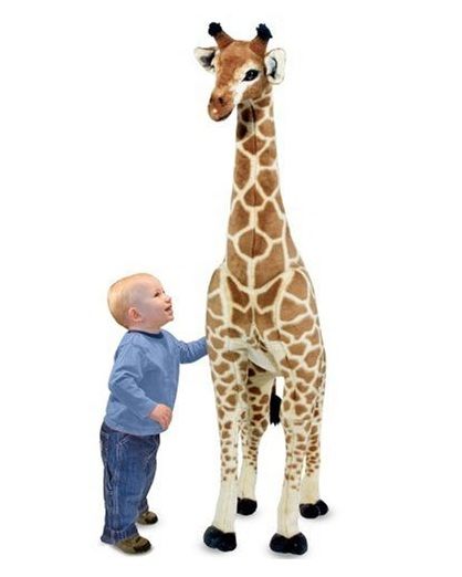 giraffe.jpg