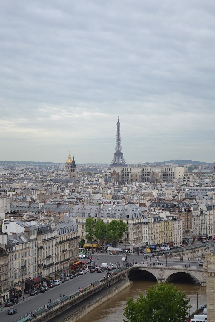 photo DSC_0450_zpsb6temtcm.jpg
