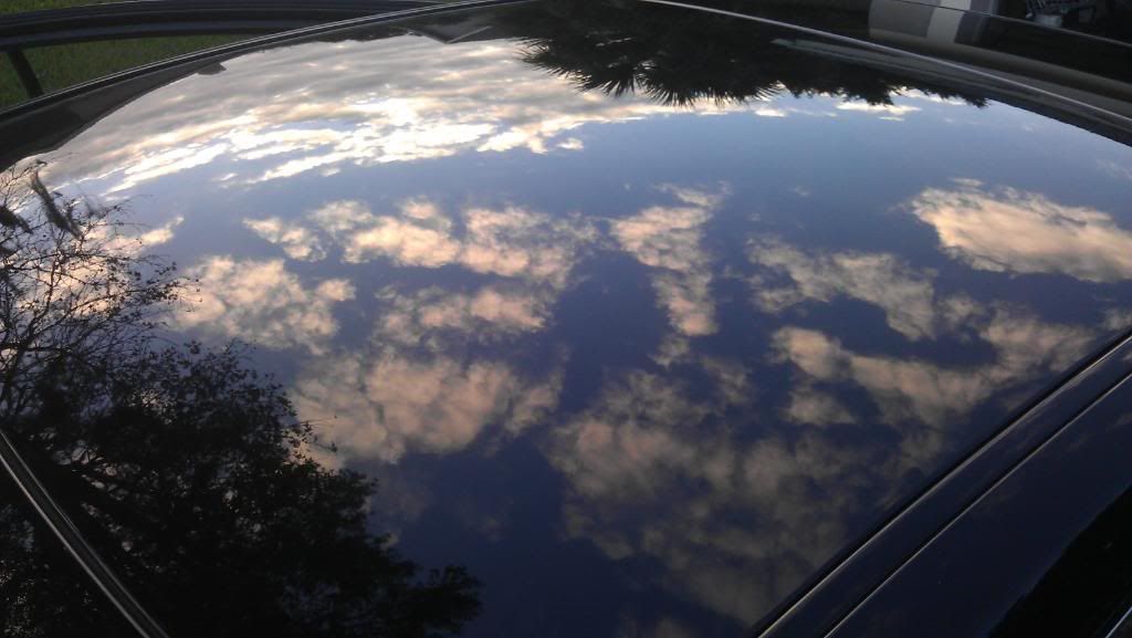 IMAG1054.jpg