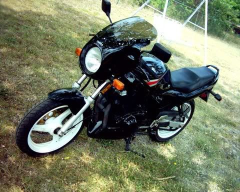 1989 Suzuki GS500E with upper and lower Targa fairings