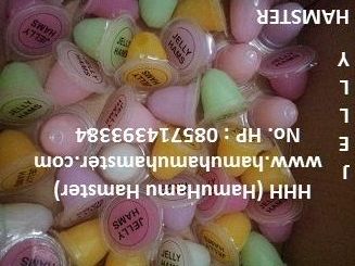 Jelly Hamster