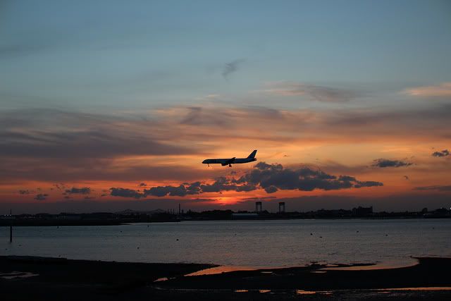 IMAGE: http://i1233.photobucket.com/albums/ff393/steve960/6965303398_3d7493a040_z.jpg