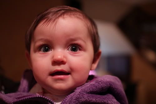 IMAGE: http://i1233.photobucket.com/albums/ff393/steve960/7025733885_5892fff37d.jpg