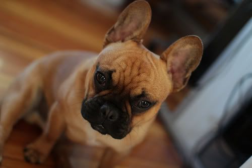 IMAGE: http://i1233.photobucket.com/albums/ff393/steve960/7051093727_ed4e923475.jpg