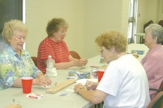 cribbage_w550.jpg