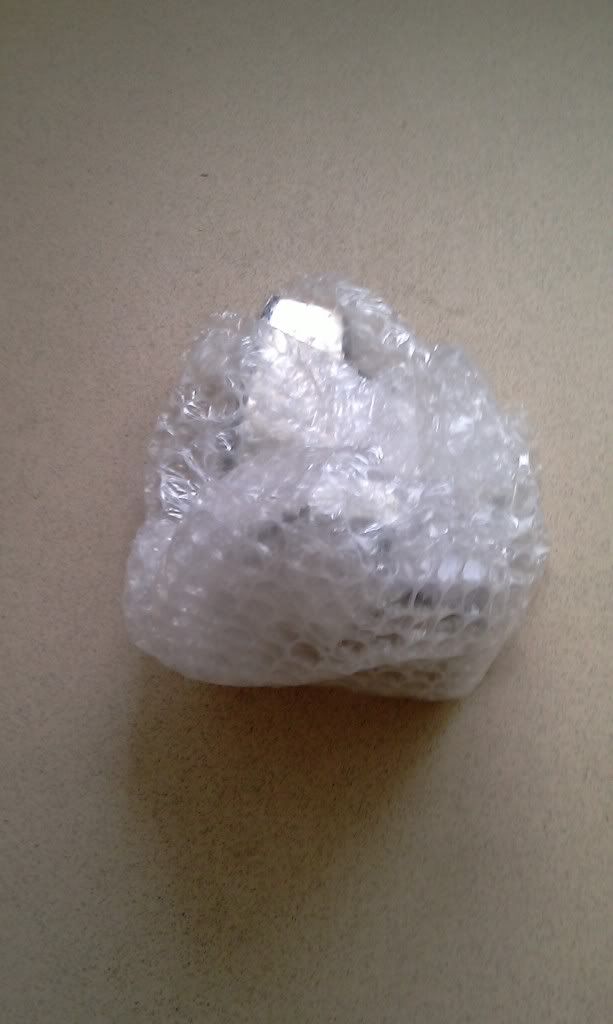 IMAG0410.jpg