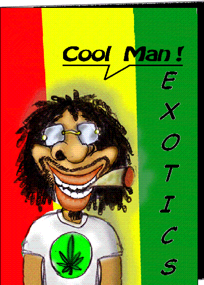 Cool Man Exotics Avatar