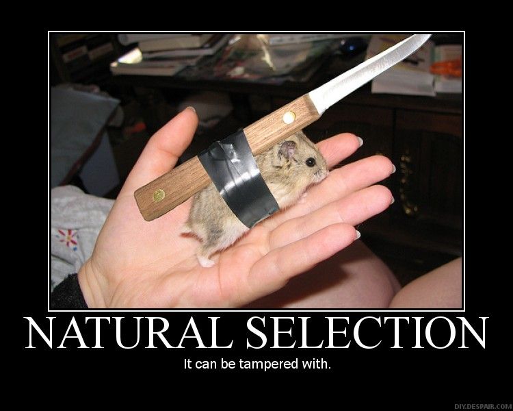 natural_selection.jpg