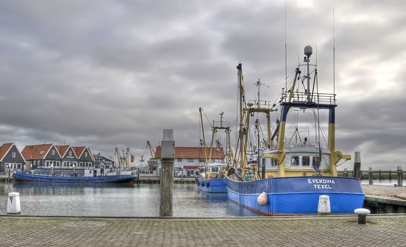 Fotografie