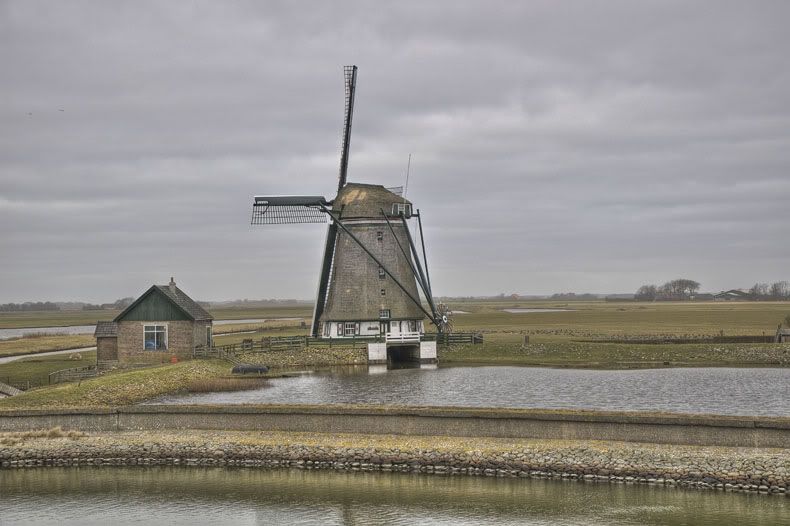 Fotografie