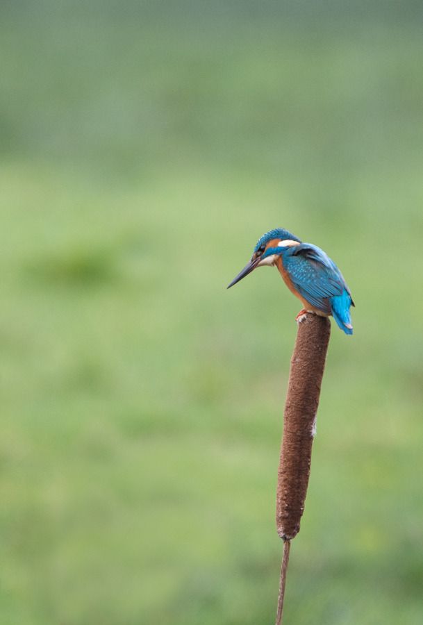 Fotografie