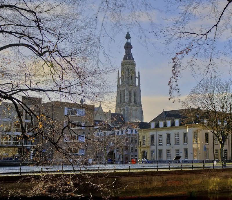 Fotografie