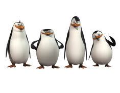 Penguin-CharactersPenguinsofMadagascar.jpg