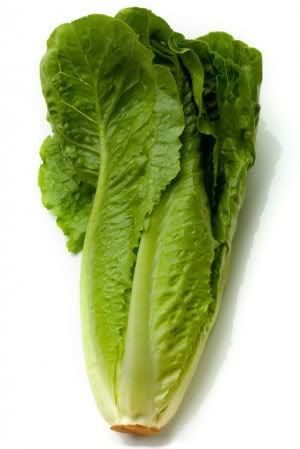 romaine-lettuce-300x449.jpg