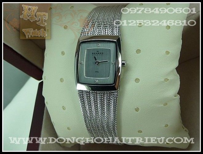 Dong Ho Skagen