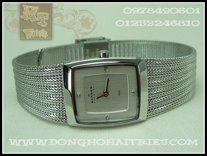 Dong Ho Skagen