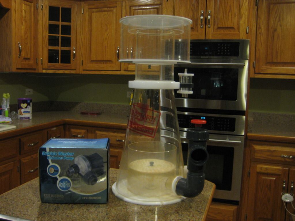 450MixedReef282.jpg