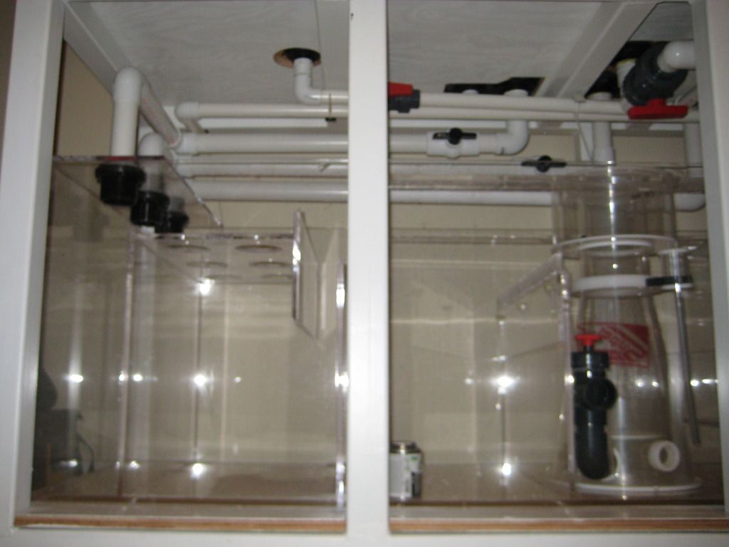 Plumbing2005.jpg