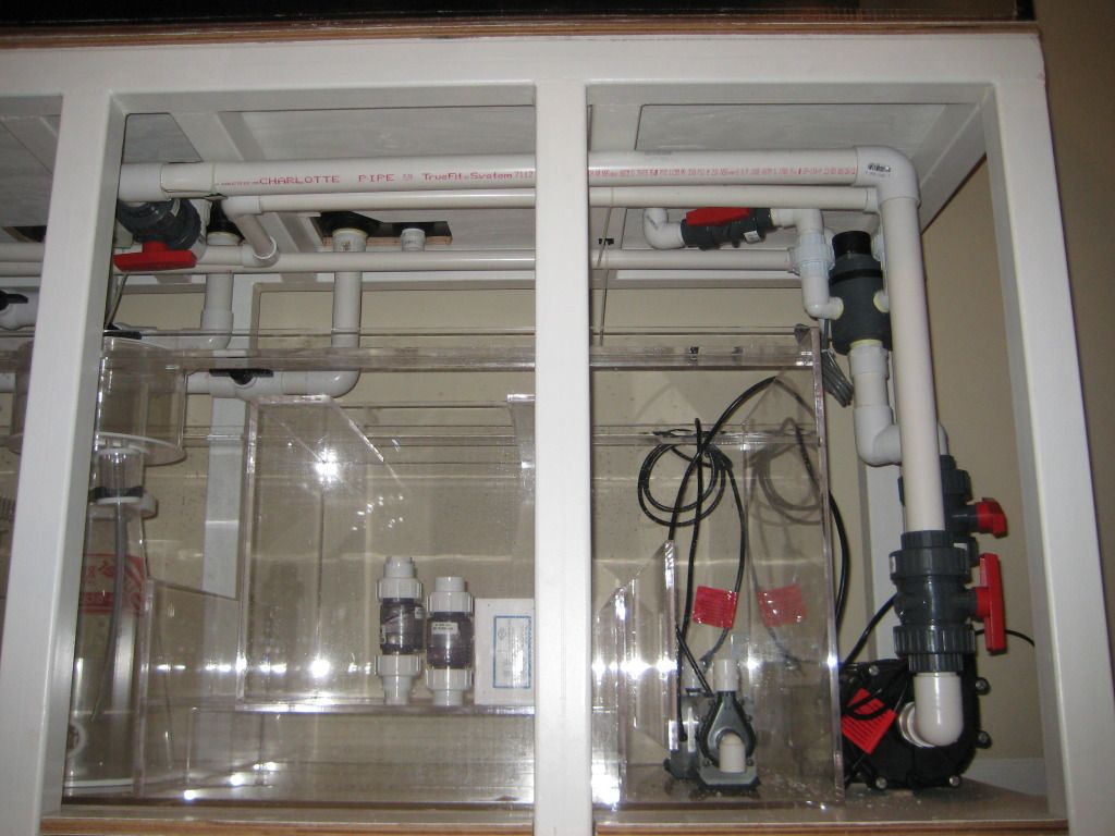 Plumbing2007.jpg