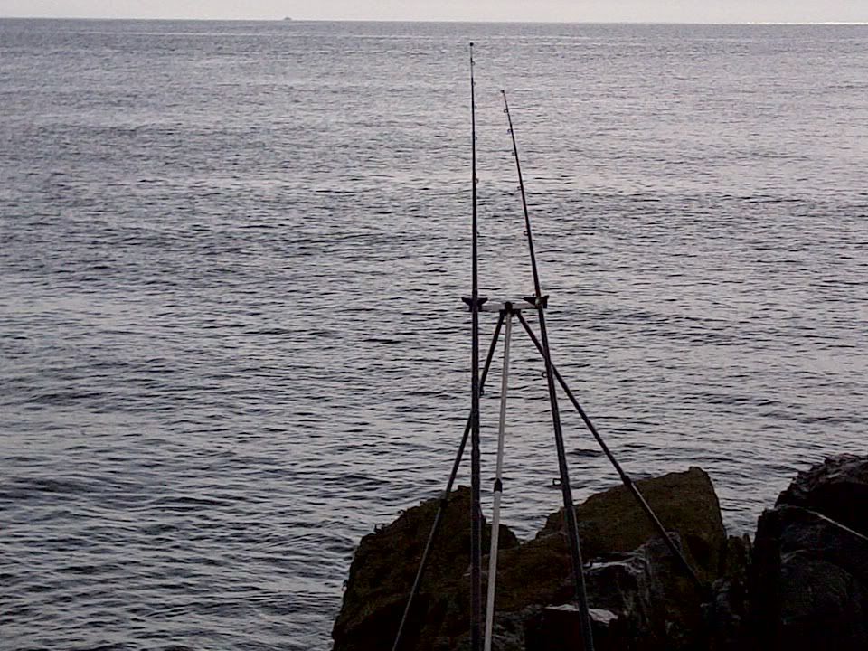 IMG-20120422-00213.jpg