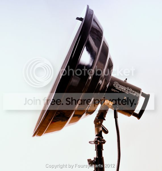 https://i1233.photobucket.com/albums/ff385/foursytephotos/_CJB7246-Edit-1-1.jpg