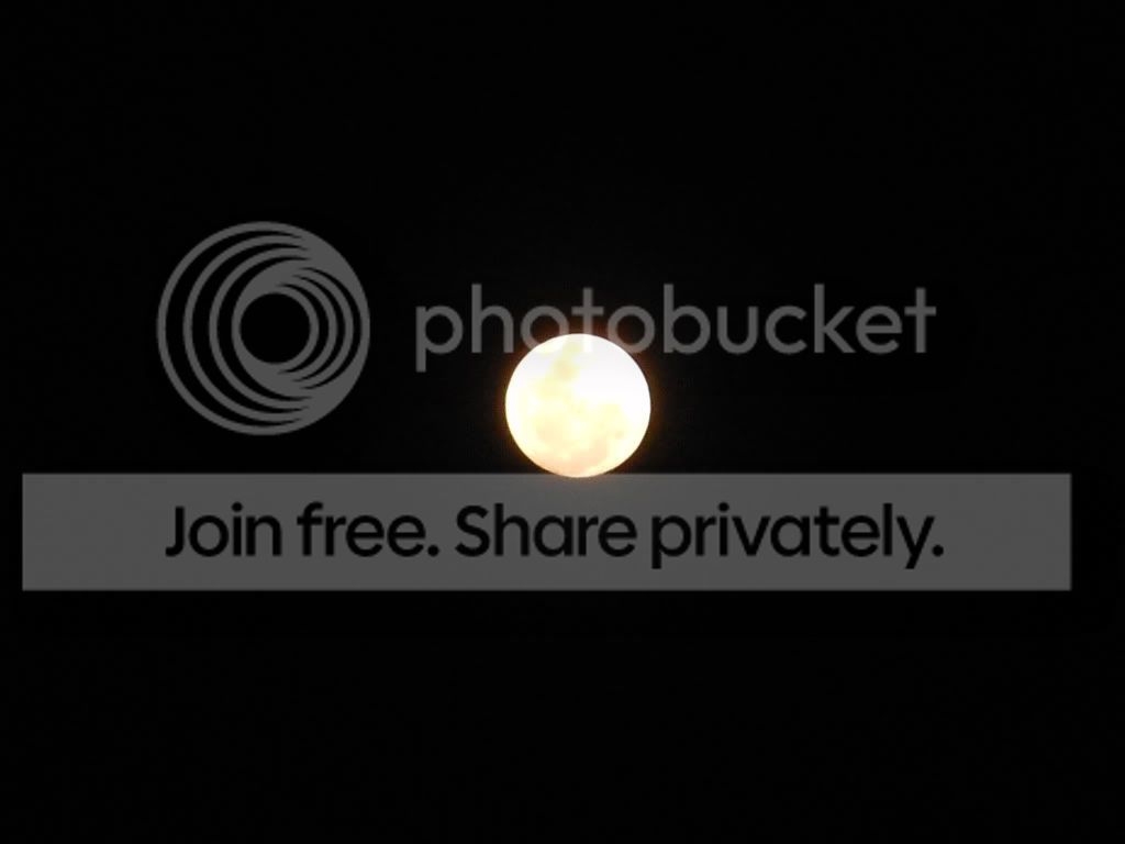 DSCN1273.jpg