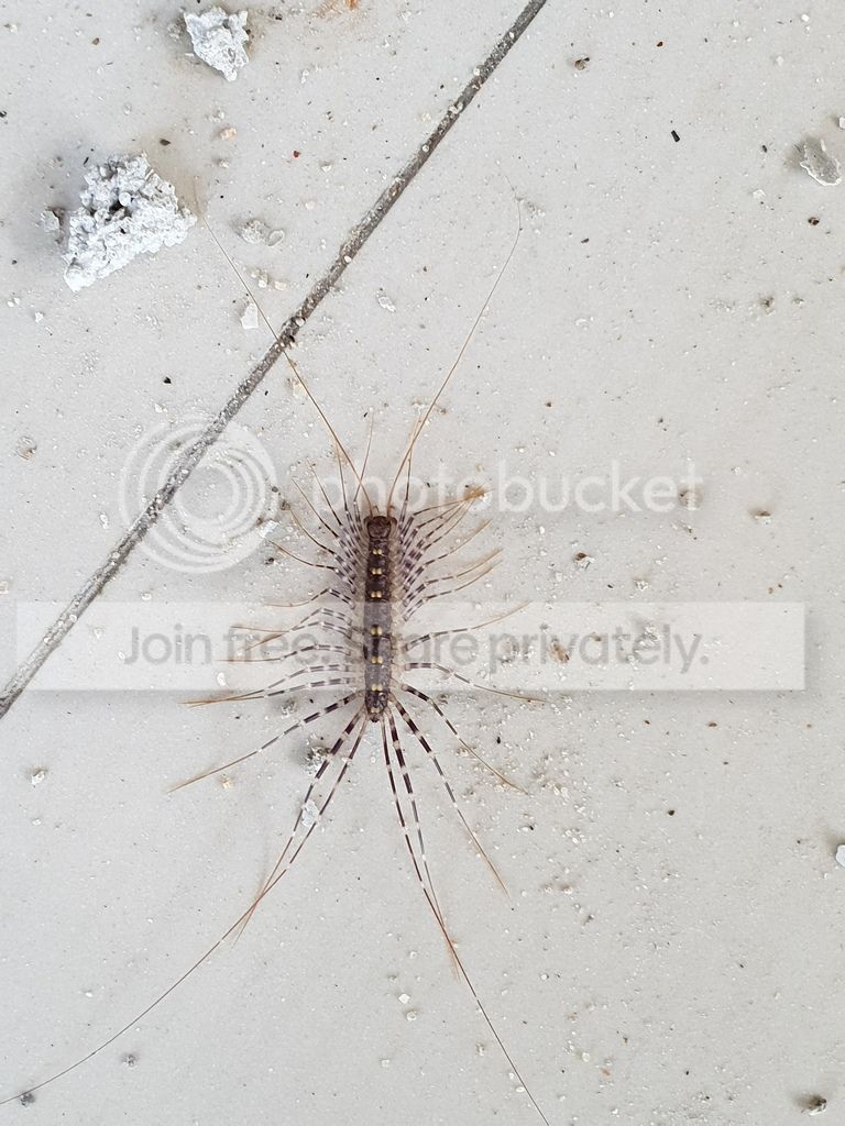 20190326_090727_1.jpg